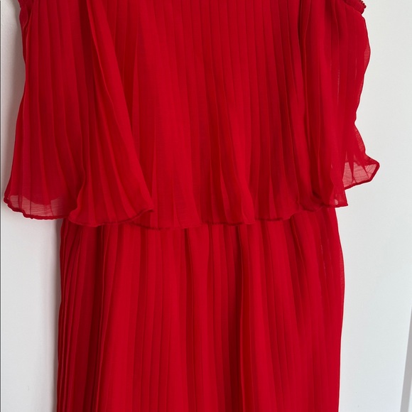 Zara Pleated Ruffle Dress - Picture 4 of 6